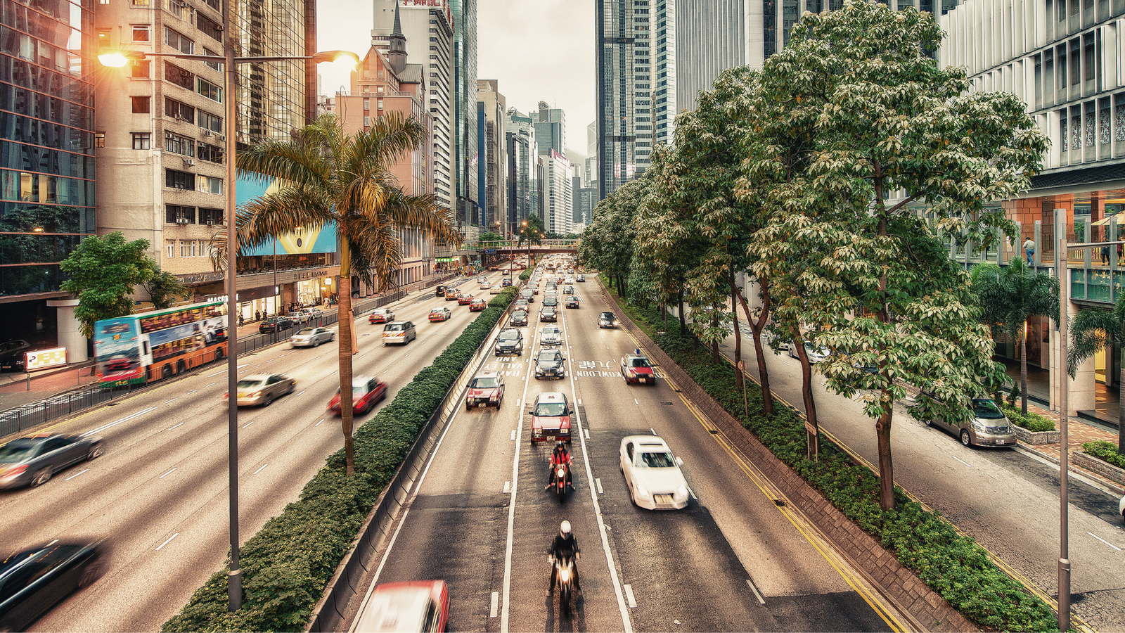 What is an Ecosystem? A Guide from an ESG Consultant’s Perspective